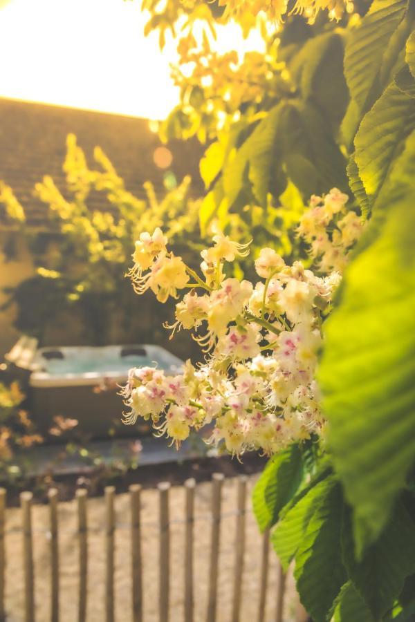 Le Petit Nancay Bed & Breakfast Thenioux Luaran gambar