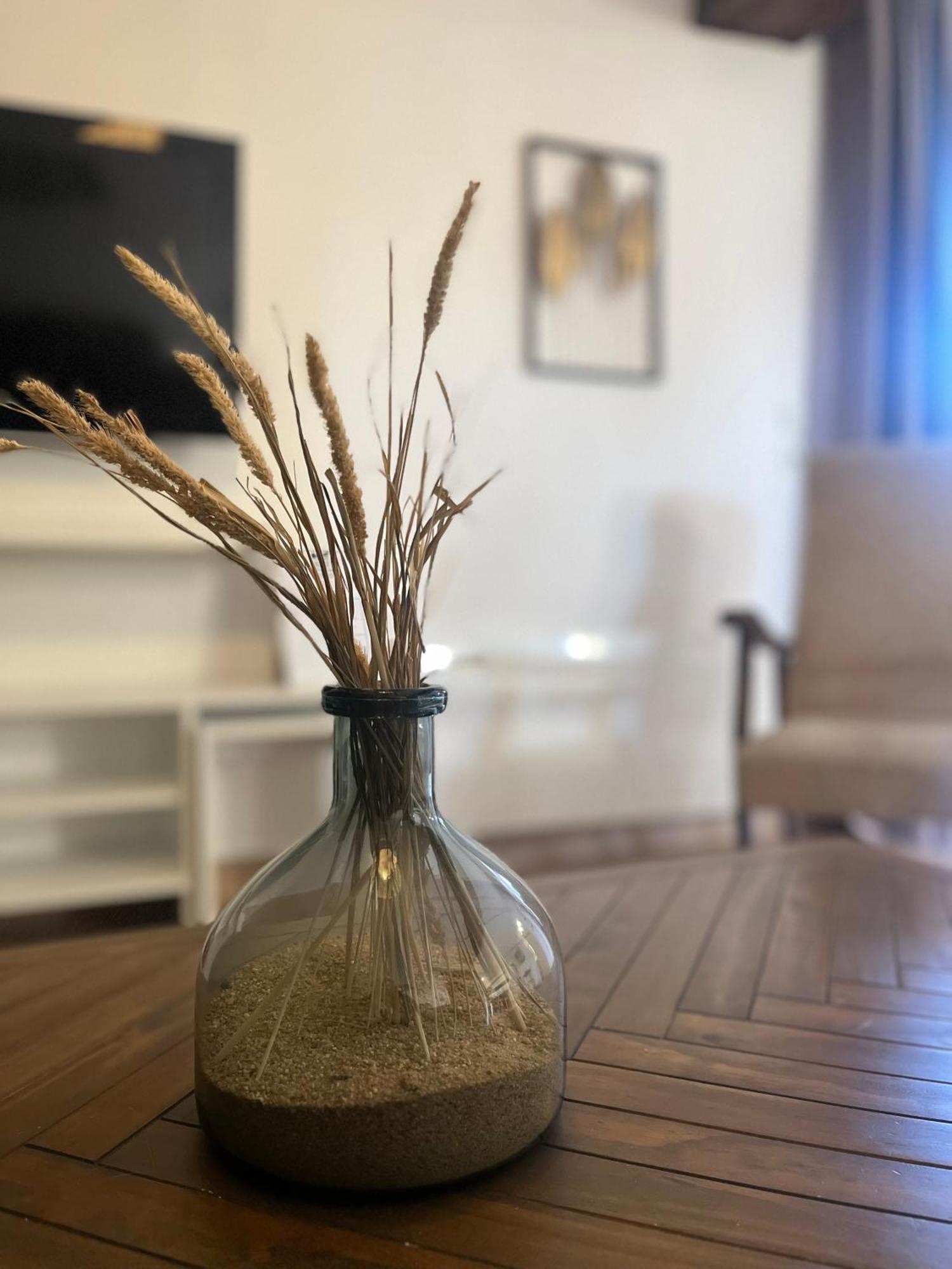 Le Petit Nancay Bed & Breakfast Thenioux Luaran gambar